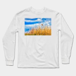 Eastern Bluebird On Fence Long Sleeve T-Shirt